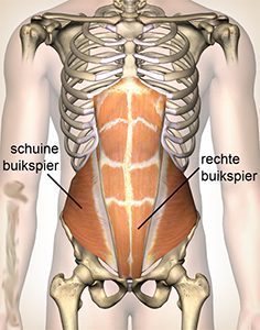 buikspieren zwanger